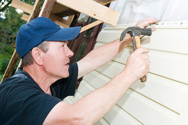 Best Vinyl Siding Installation  in Mapleton, IA